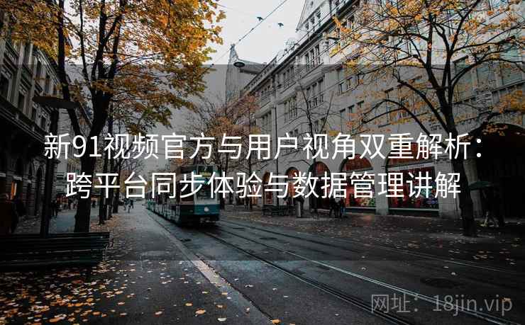 新91视频官方与用户视角双重解析：跨平台同步体验与数据管理讲解