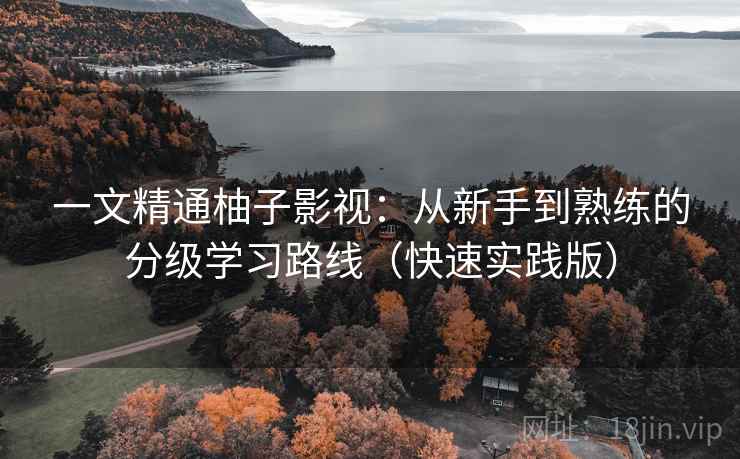 一文精通柚子影视:从新手到熟练的分级学习路线(快速实践版) 一文精通柚子影视:从新手到熟练的分级学习路线(快速实践版)