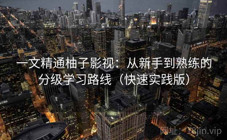 一文精通柚子影视：从新手到熟练的分级学习路线（快速实践版）