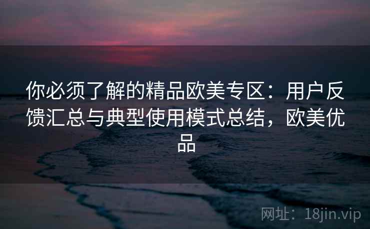 你必须了解的精品欧美专区：用户反馈汇总与典型使用模式总结，欧美优品