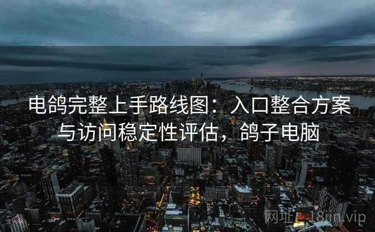 电鸽完整上手路线图：入口整合方案与访问稳定性评估，鸽子电脑