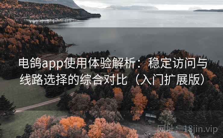 电鸽app使用体验解析:稳定访问与线路选择的综合对比(入门扩展版) 电鸽app使用体验解析:稳定访问与线路选择的综合对比(入门扩展版)