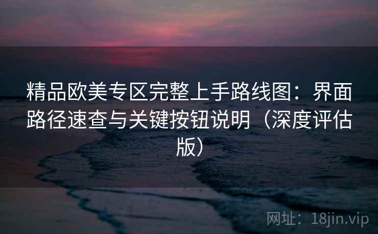 精品欧美专区完整上手路线图：界面路径速查与关键按钮说明（深度评估版）