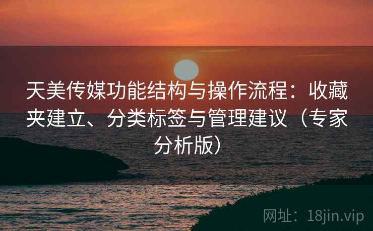天美传媒功能结构与操作流程:收藏夹建立、分类标签与管理建议(专家分析版) 天美传媒功能结构与操作流程:收藏夹建立、分类标签与管理建议(专家分析版)