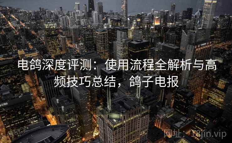 电鸽深度评测：使用流程全解析与高频技巧总结，鸽子电报