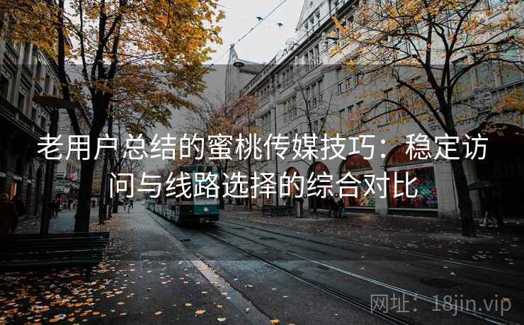 老用户总结的蜜桃传媒技巧:稳定访问与线路选择的综合对比 老用户总结的蜜桃传媒技巧:稳定访问与线路选择的综合对比