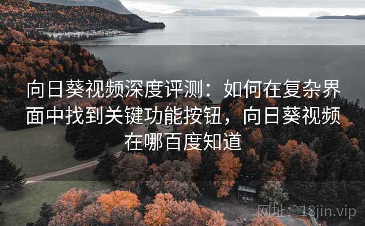 向日葵视频深度评测:如何在复杂界面中找到关键功能按钮,向日葵视频在哪百度知道 向日葵视频深度评测:如何在复杂界面中找到关键功能按钮,向日葵视频在哪百度知道