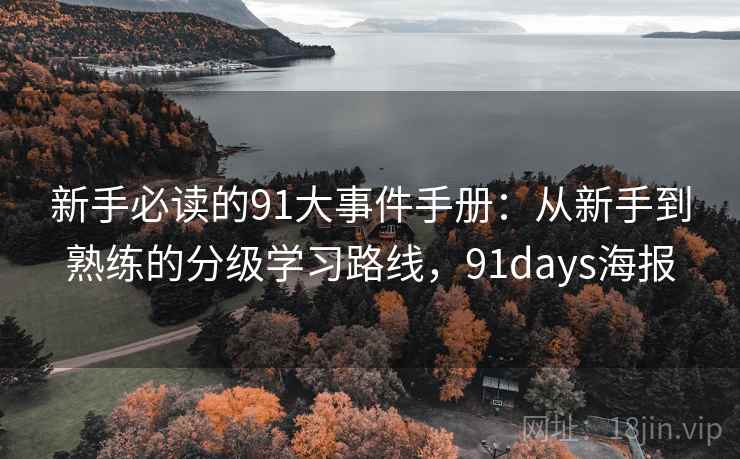 新手必读的91大事件手册：从新手到熟练的分级学习路线，91days海报