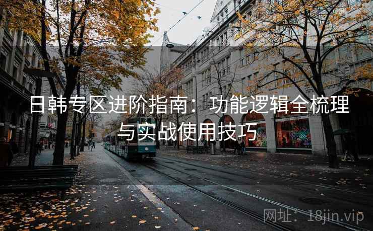 日韩专区进阶指南：功能逻辑全梳理与实战使用技巧