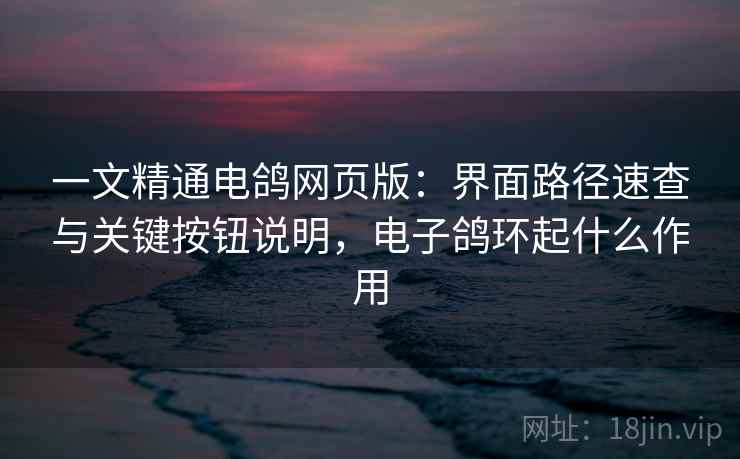 一文精通电鸽网页版：界面路径速查与关键按钮说明，电子鸽环起什么作用