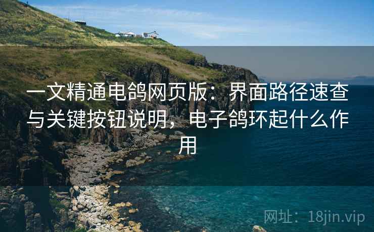 一文精通电鸽网页版：界面路径速查与关键按钮说明，电子鸽环起什么作用