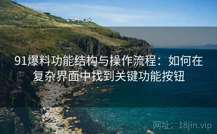 91爆料功能结构与操作流程：如何在复杂界面中找到关键功能按钮
