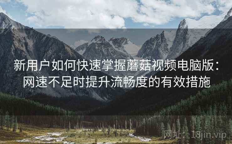 新用户如何快速掌握蘑菇视频电脑版：网速不足时提升流畅度的有效措施