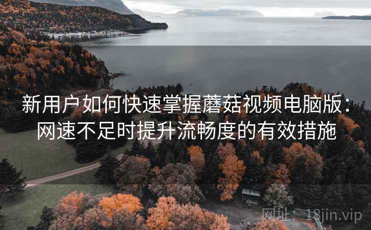 新用户如何快速掌握蘑菇视频电脑版：网速不足时提升流畅度的有效措施