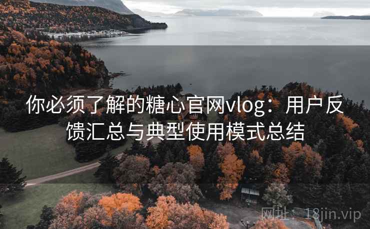 你必须了解的糖心官网vlog：用户反馈汇总与典型使用模式总结