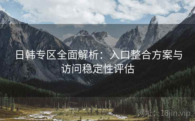 日韩专区全面解析：入口整合方案与访问稳定性评估