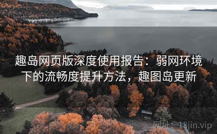 趣岛网页版深度使用报告：弱网环境下的流畅度提升方法，趣图岛更新