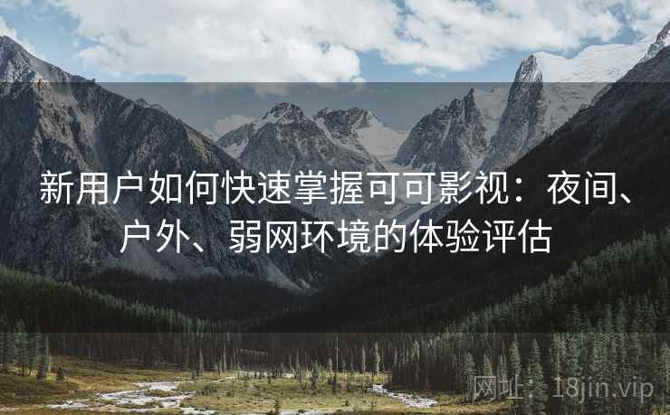 新用户如何快速掌握可可影视：夜间、户外、弱网环境的体验评估