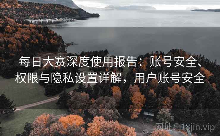 每日大赛深度使用报告：账号安全、权限与隐私设置详解，用户账号安全