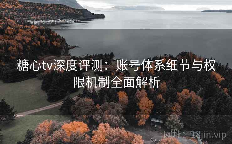 糖心tv深度评测：账号体系细节与权限机制全面解析