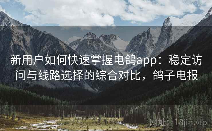 新用户如何快速掌握电鸽app：稳定访问与线路选择的综合对比，鸽子电报