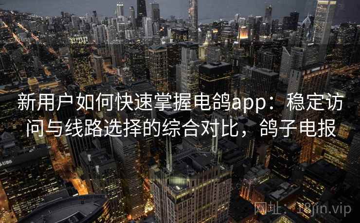 新用户如何快速掌握电鸽app：稳定访问与线路选择的综合对比，鸽子电报