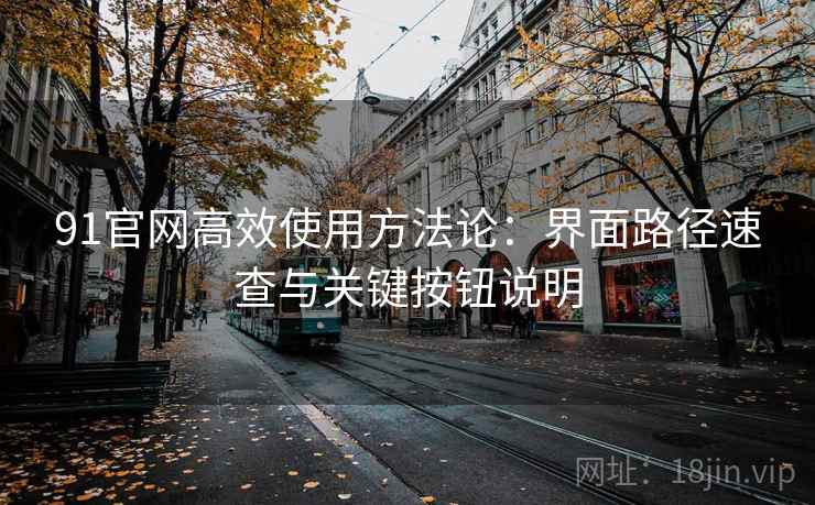 91官网高效使用方法论：界面路径速查与关键按钮说明