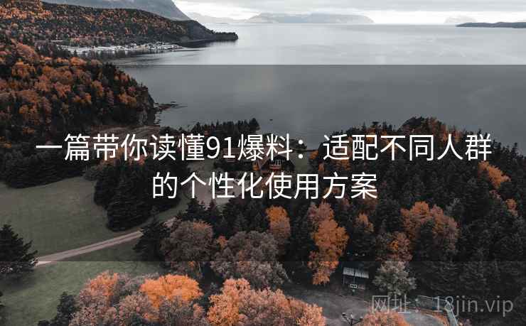 一篇带你读懂91爆料：适配不同人群的个性化使用方案