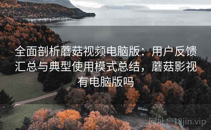 全面剖析蘑菇视频电脑版：用户反馈汇总与典型使用模式总结，蘑菇影视有电脑版吗