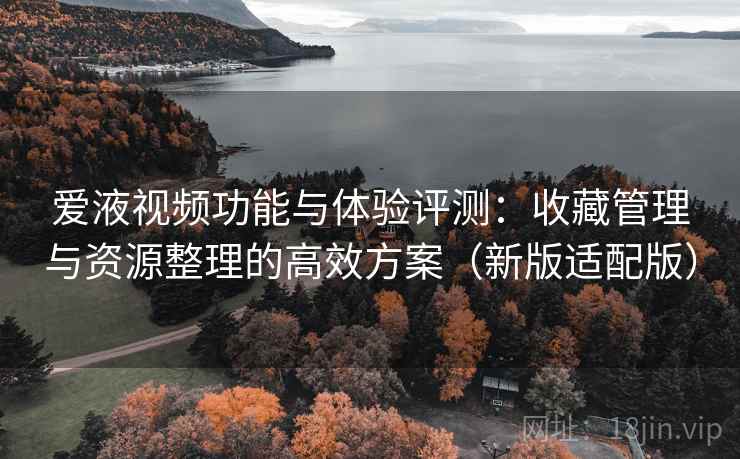 爱液视频功能与体验评测：收藏管理与资源整理的高效方案（新版适配版）