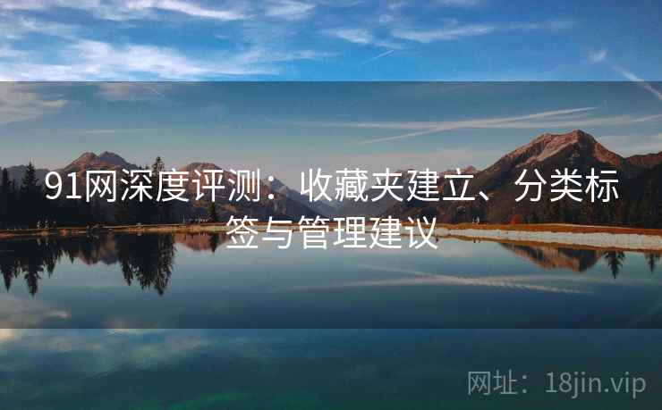 91网深度评测：收藏夹建立、分类标签与管理建议