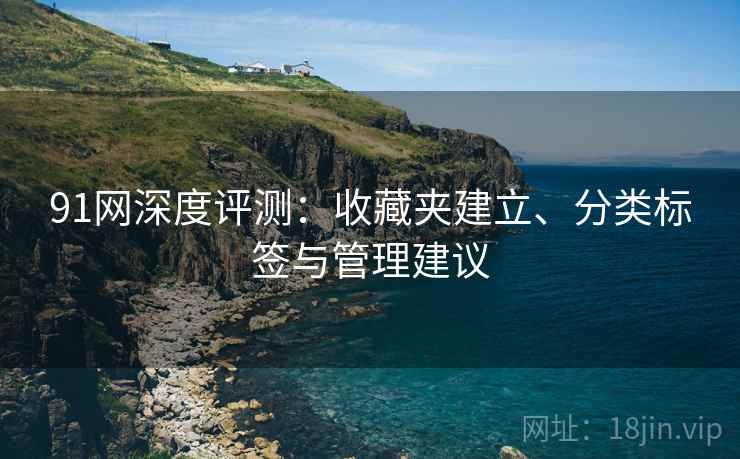 91网深度评测：收藏夹建立、分类标签与管理建议