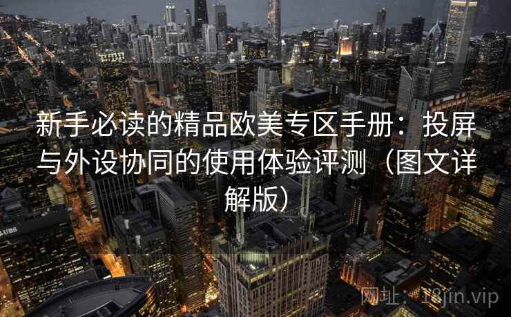新手必读的精品欧美专区手册：投屏与外设协同的使用体验评测（图文详解版）