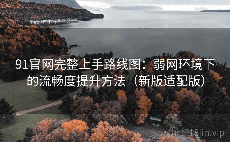 91官网完整上手路线图:弱网环境下的流畅度提升方法(新版适配版) 91官网完整上手路线图:弱网环境下的流畅度提升方法(新版适配版)