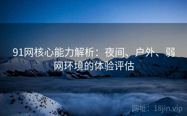 91网核心能力解析:夜间、户外、弱网环境的体验评估 91网核心能力解析:夜间、户外、弱网环境的体验评估